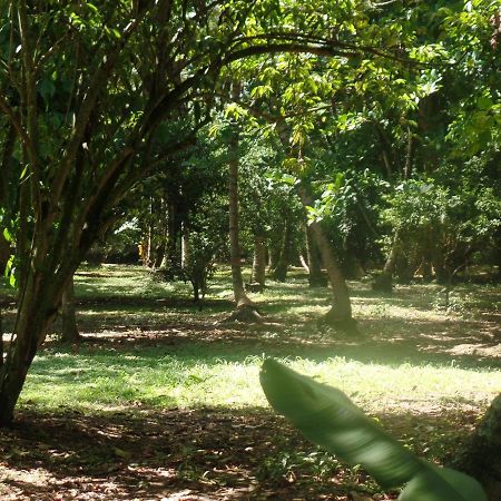 Hosteria Real Hotel Santa Fe de Antioquia Ngoại thất bức ảnh