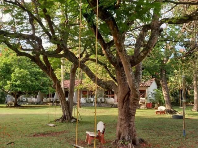Hosteria Real Hotel Santa Fe de Antioquia Ngoại thất bức ảnh
